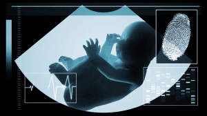 Screen Shot 2014-01-06 at 11.56.40